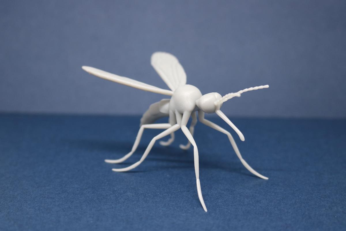 Modelo de Mosquito