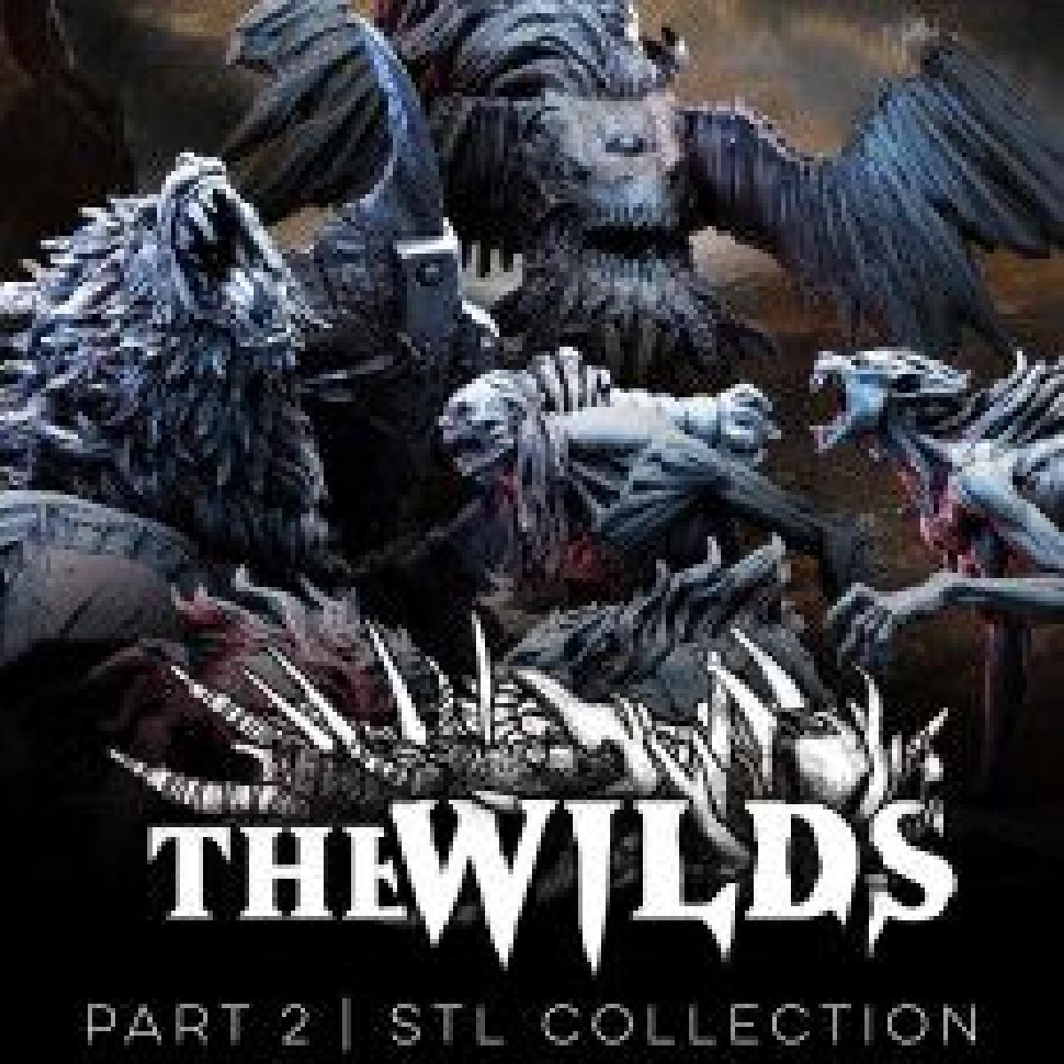 Ragged Moor: Colecao