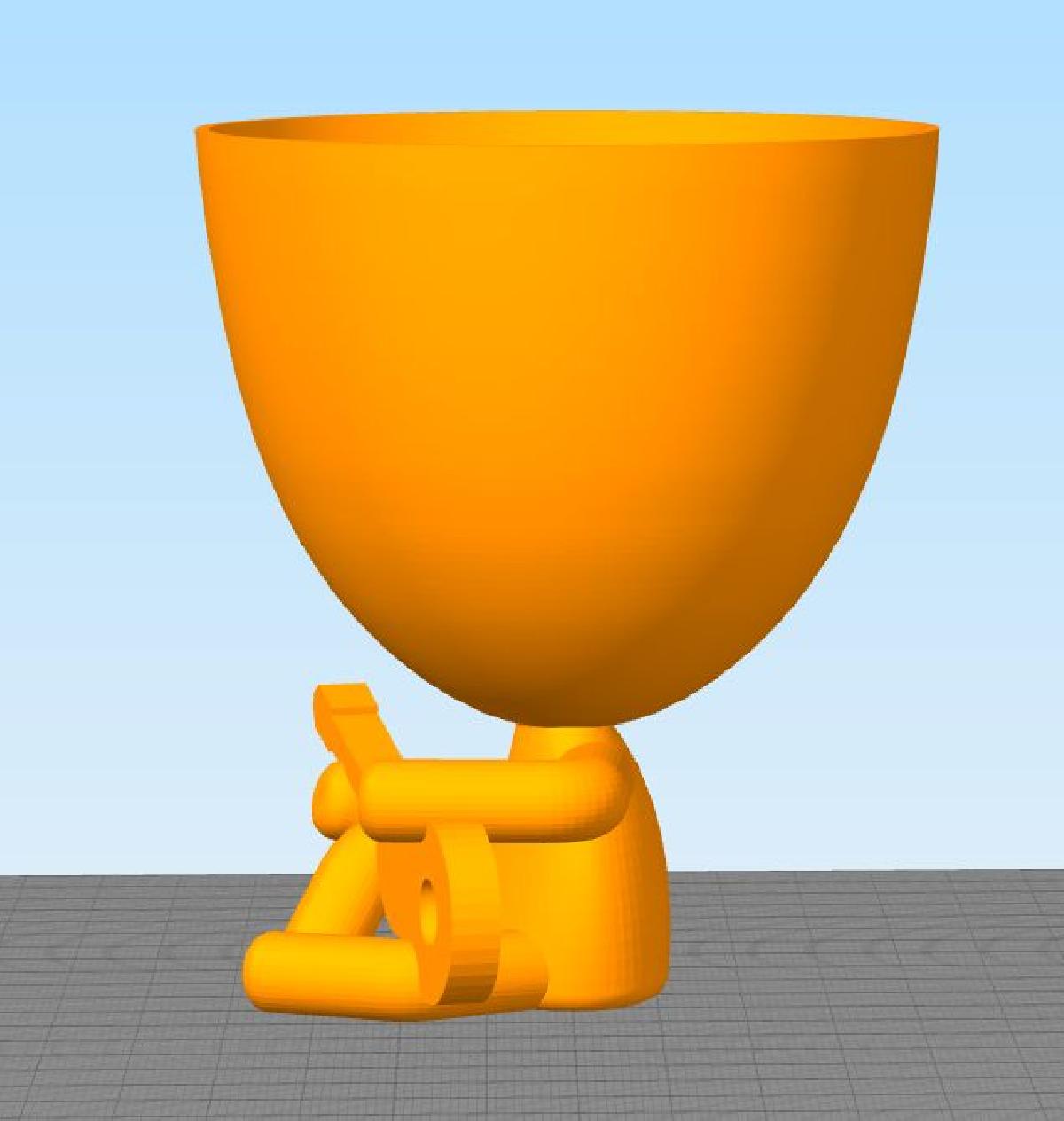 Robert planta vaso da discordia gaucha violao floreira