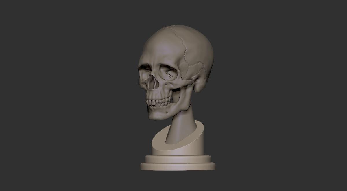 Skull