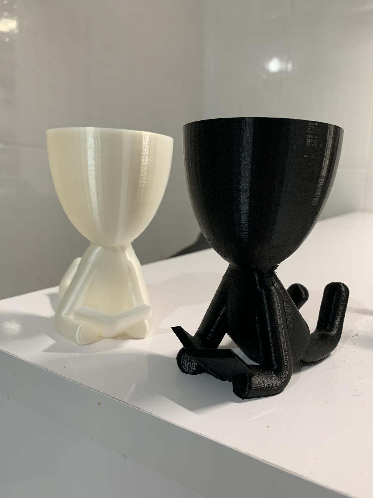 Vaso Robert Plant Decoracao 35 Modelos diferentes