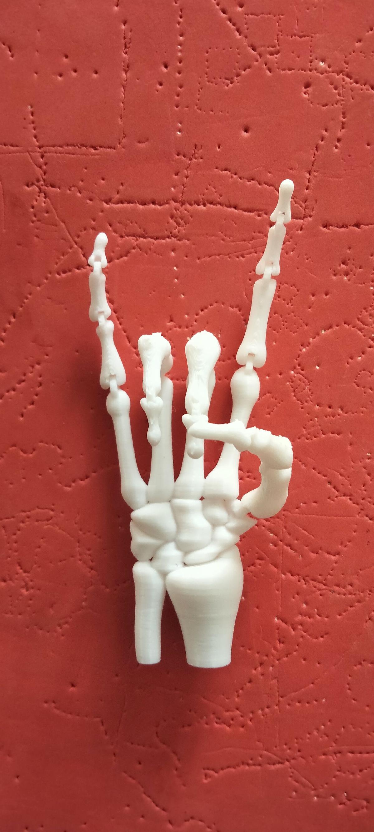 MANO ESQUELETO ARTICULADA