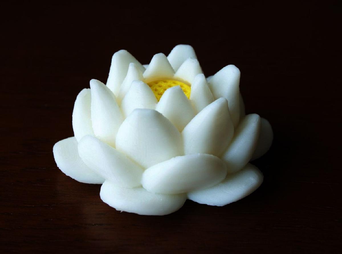 flor de lotus