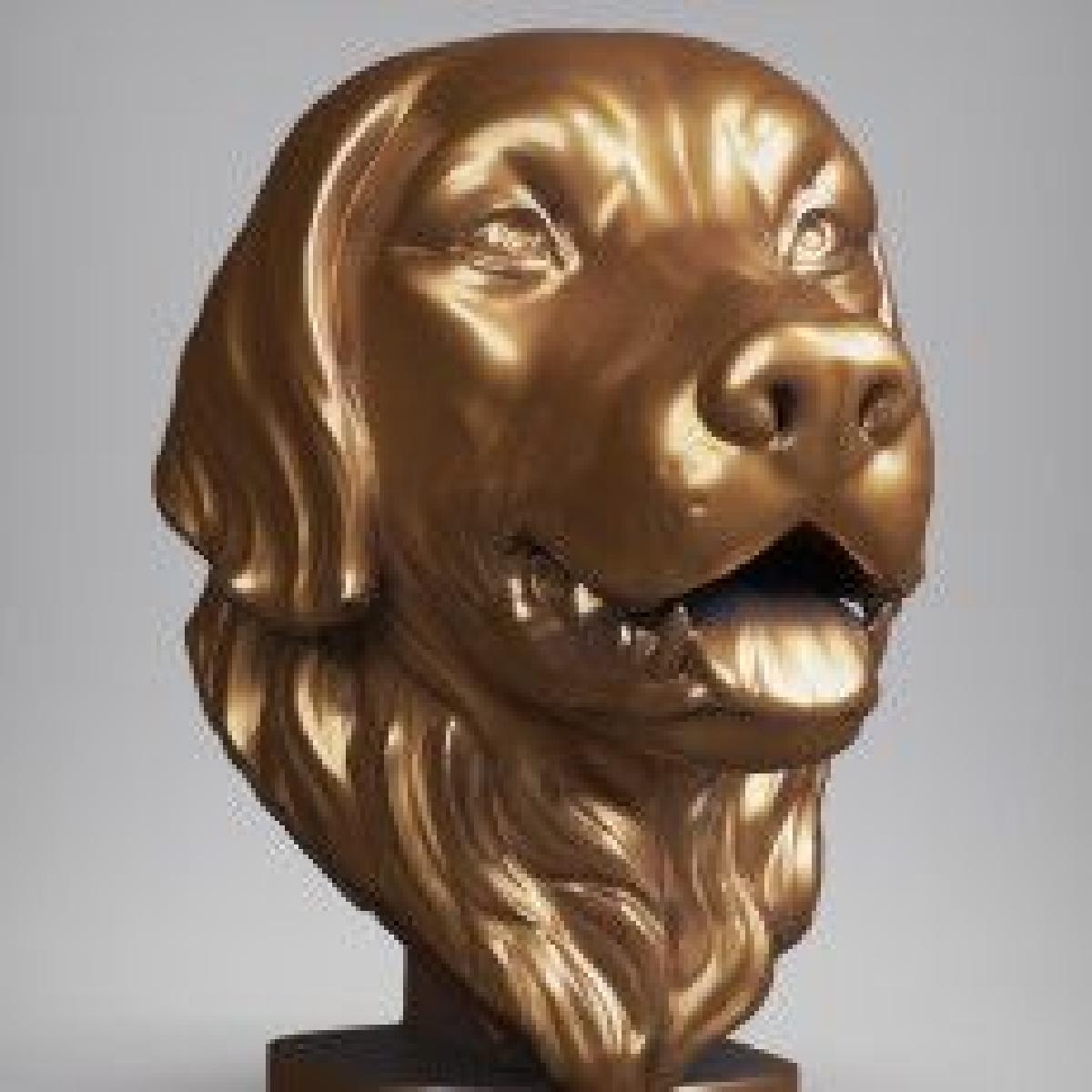 Cabeca de golden retriever
