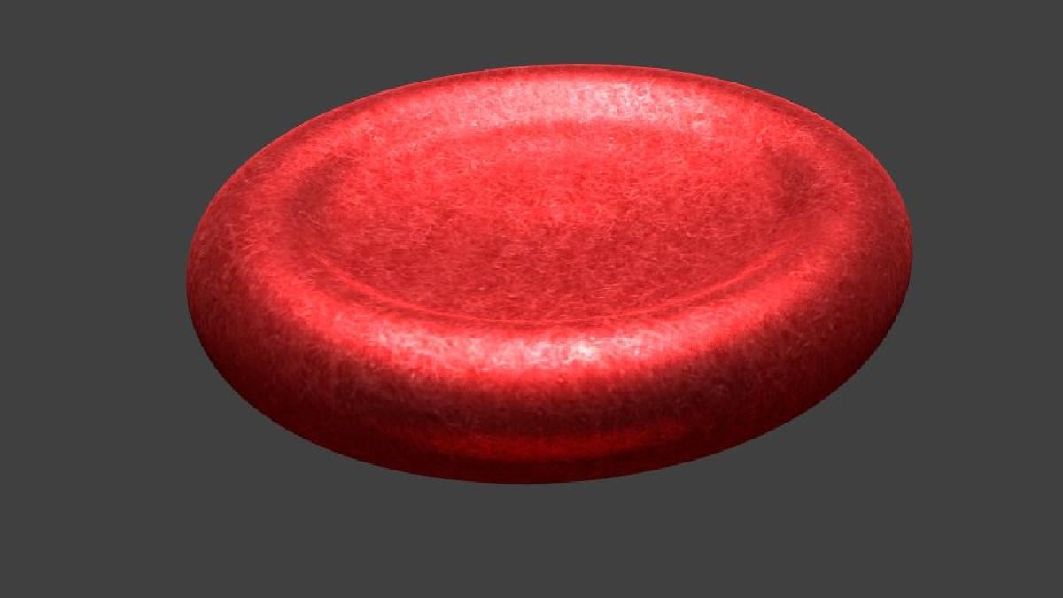 globulos vermelhos
