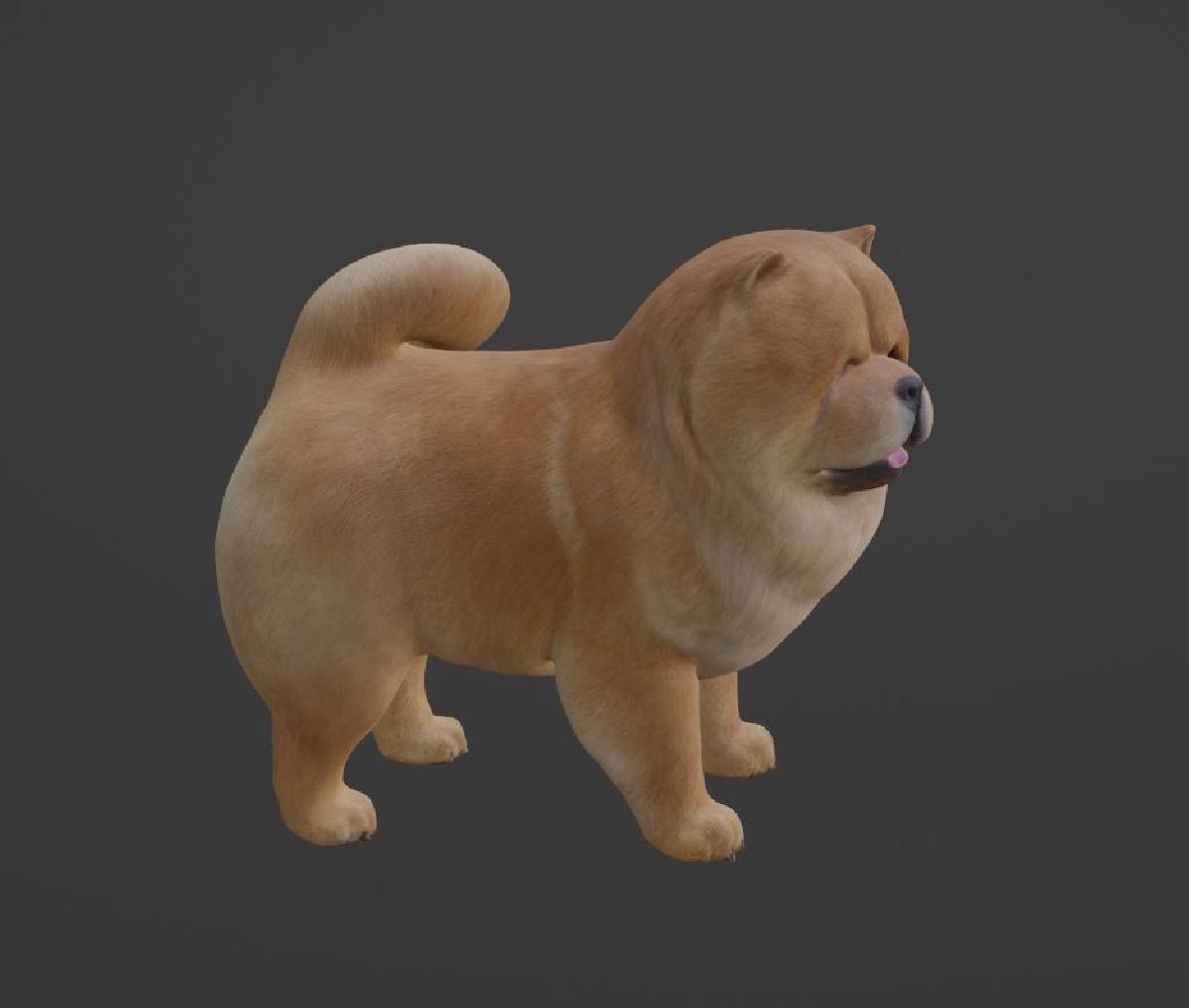 cachorro chow chow