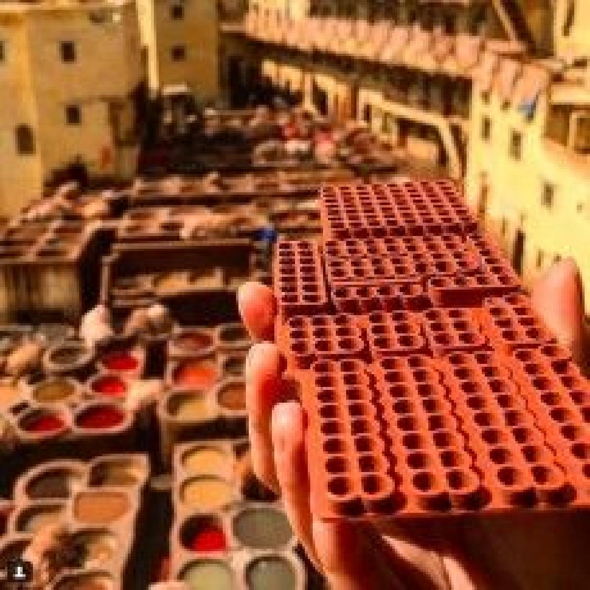 Curtumes de Fez   Marrocos