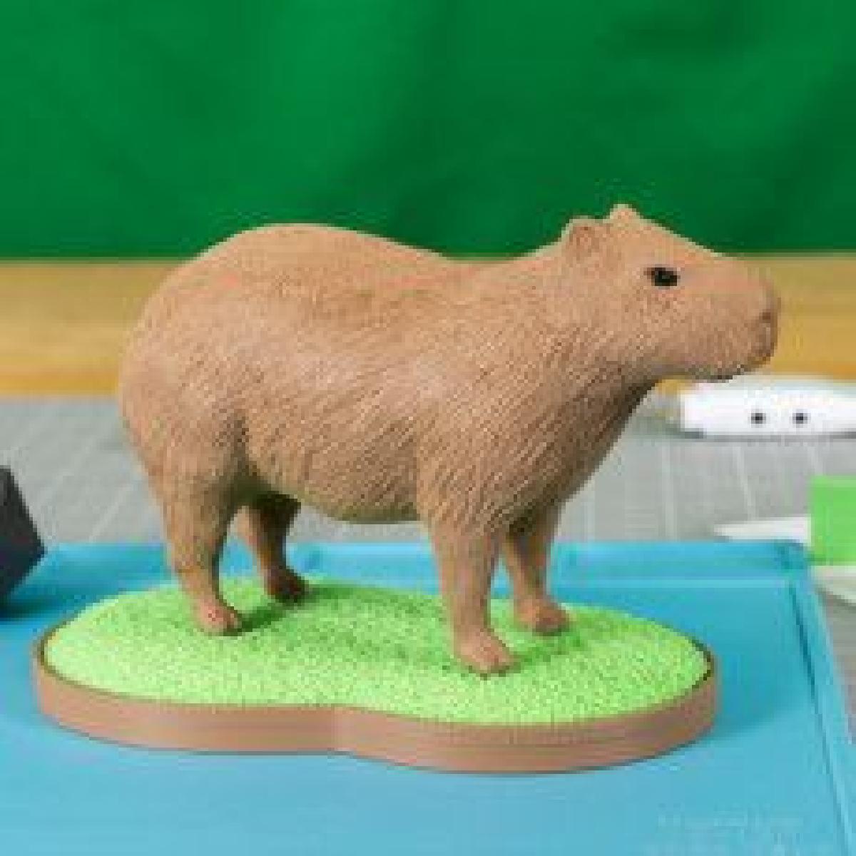 Capivara Dividida