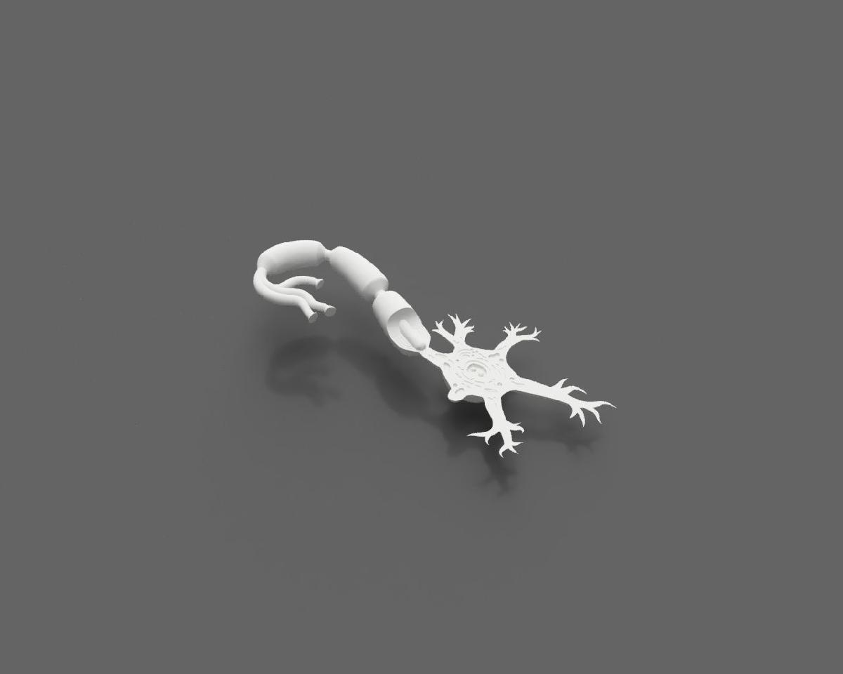 Modelo de neuronio