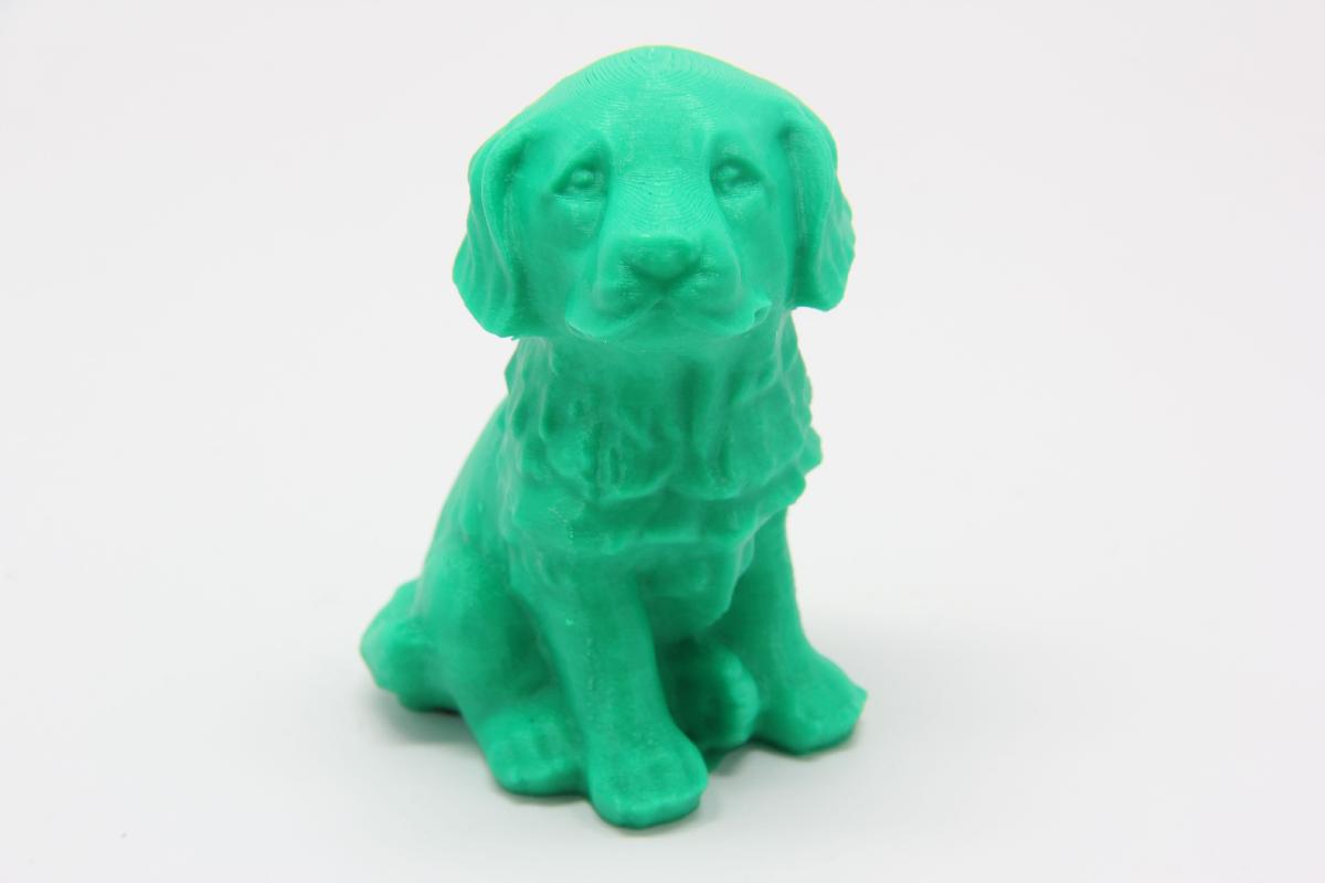 Puppy
