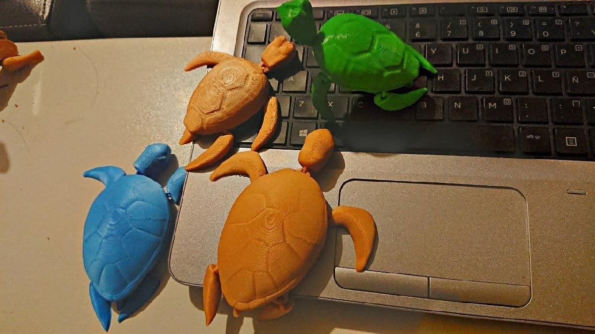 Tartaruga Articulada   Tartaruga Articulada FLEXI PRINT IN PLACE