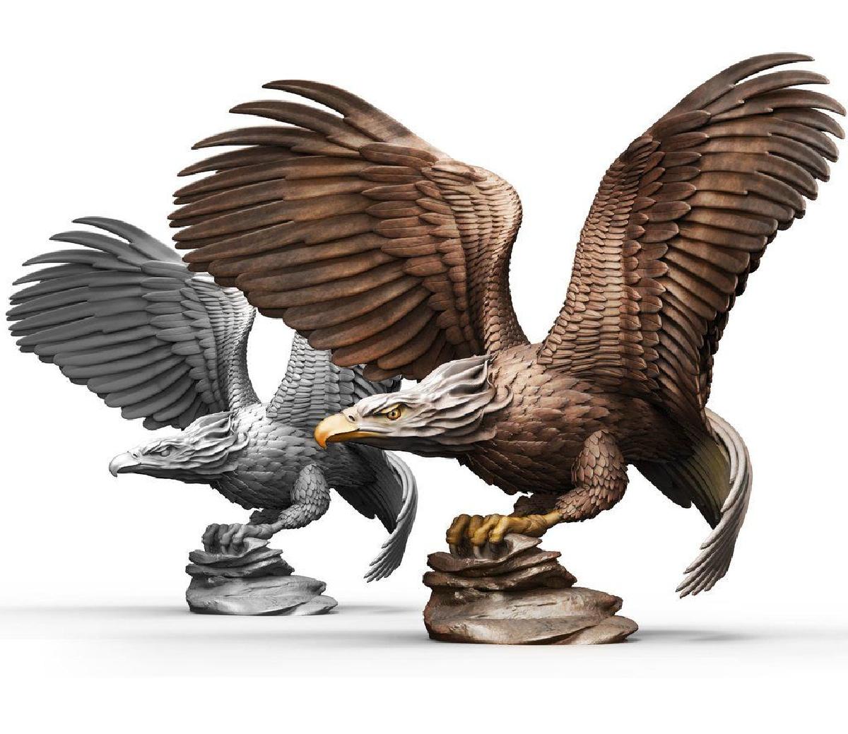 Aguia careca (nao para impressao de suporte)