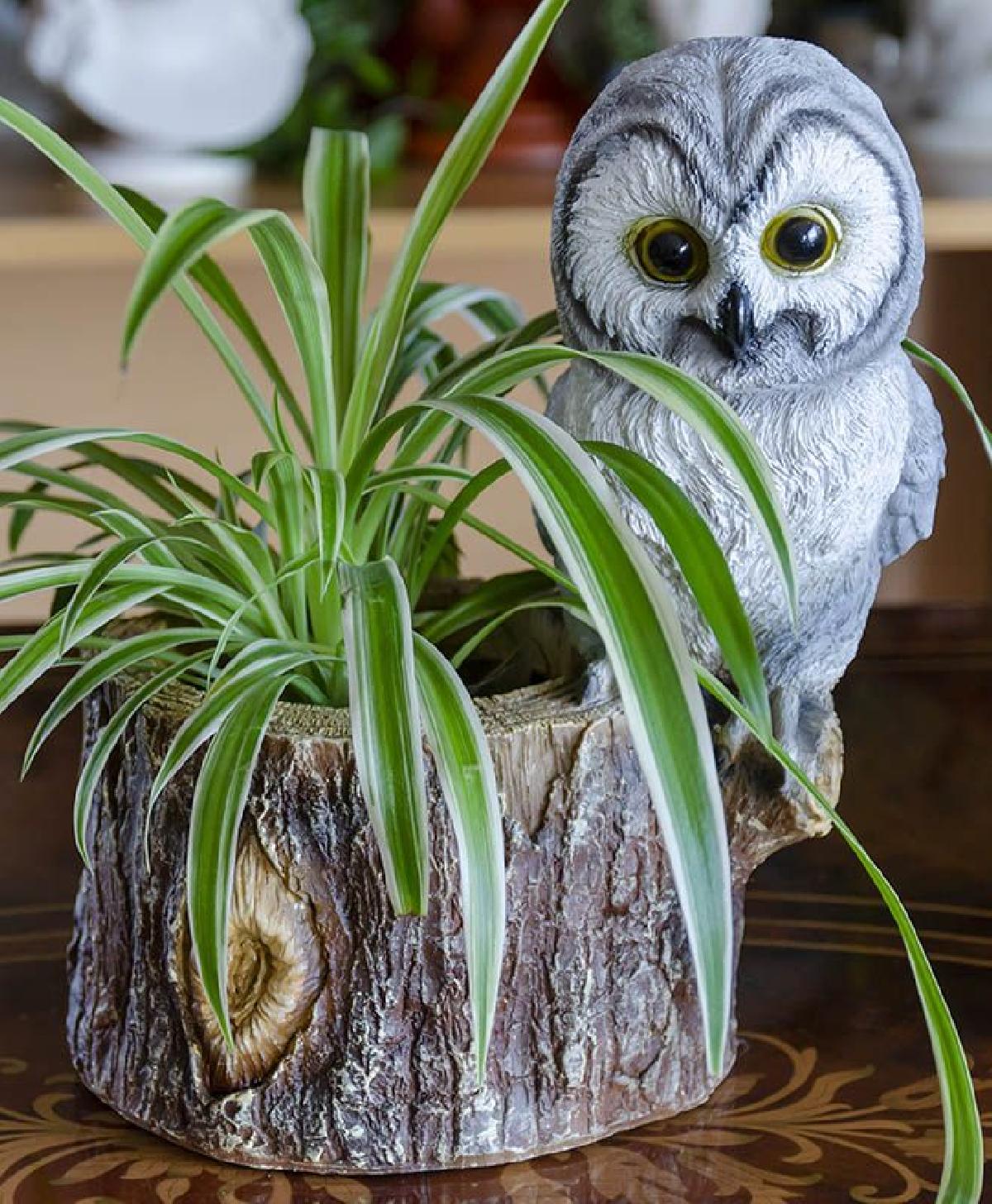 Plantador de coruja/organizador de mesa/porta itens