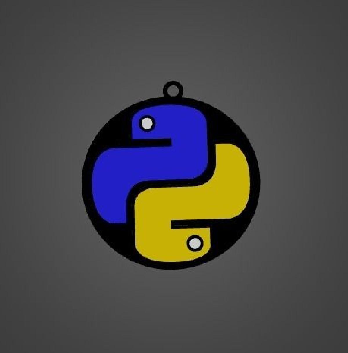 Python Keychain