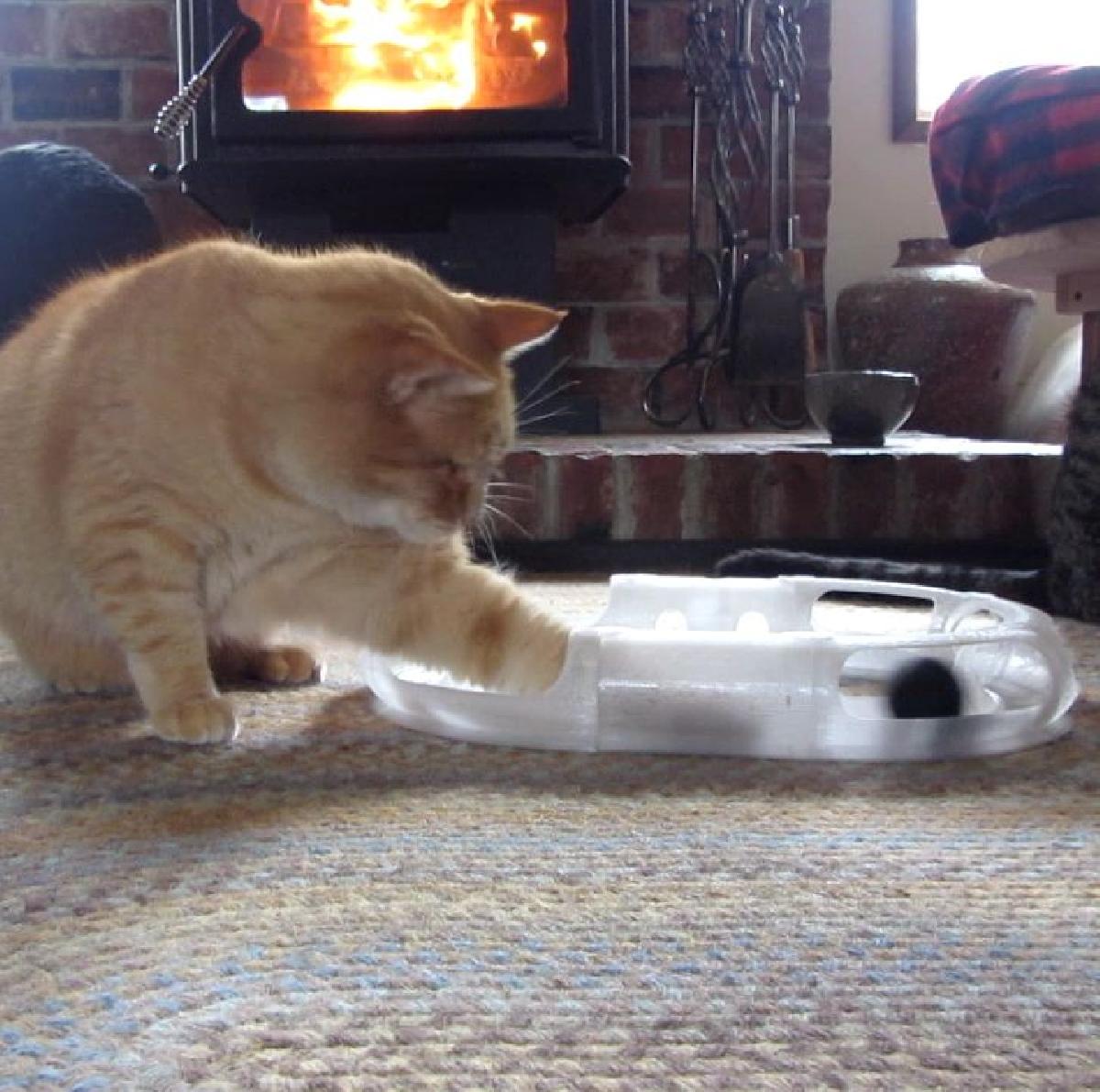 Pista de corrida Cat Toy