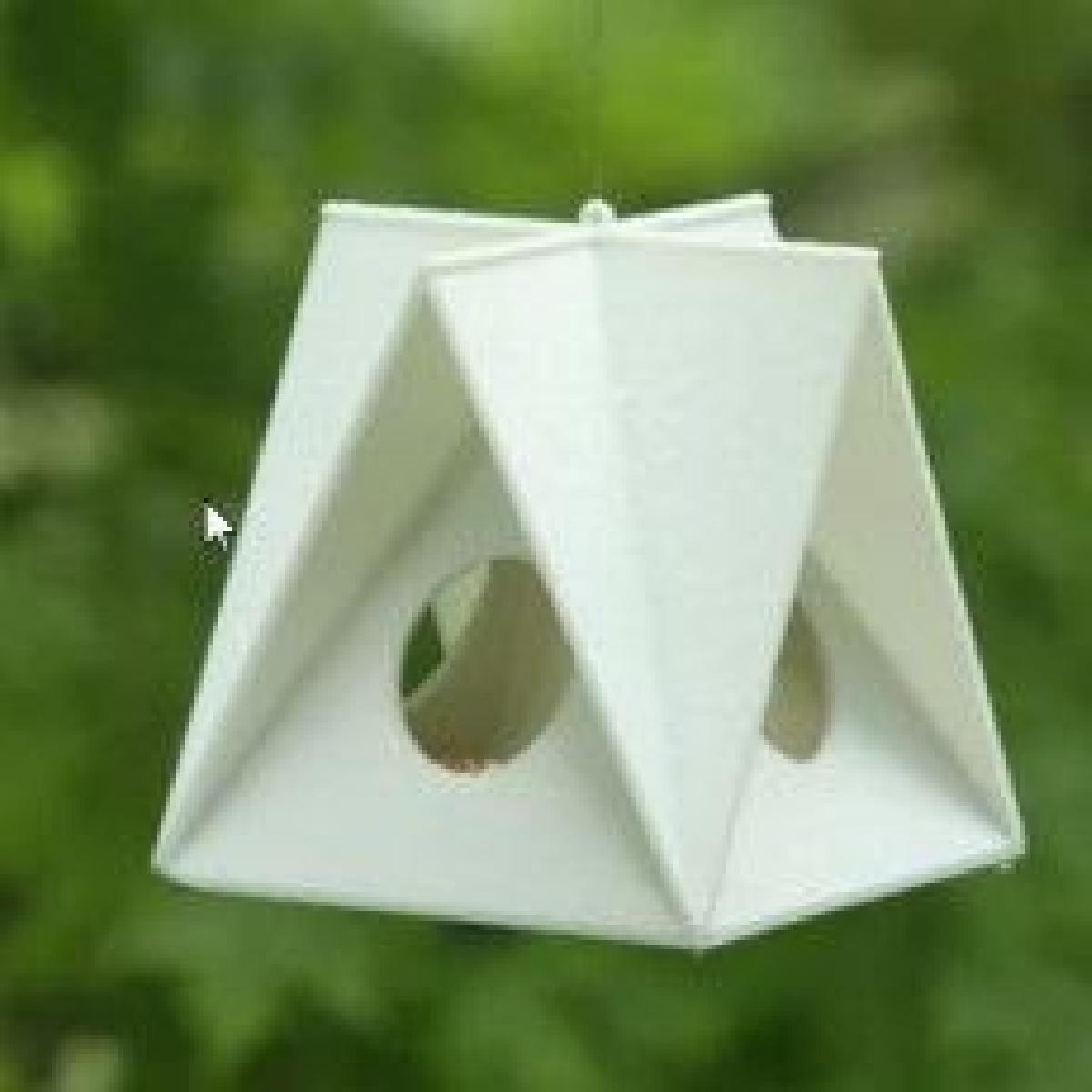 Alimentador de Aves