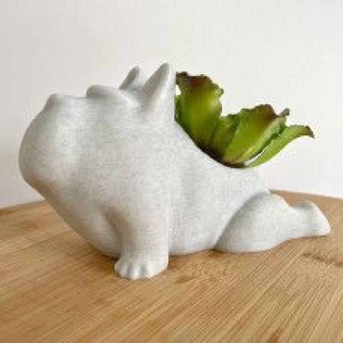 Muito uau! Doge Meme Pot para Plantas Pequenas