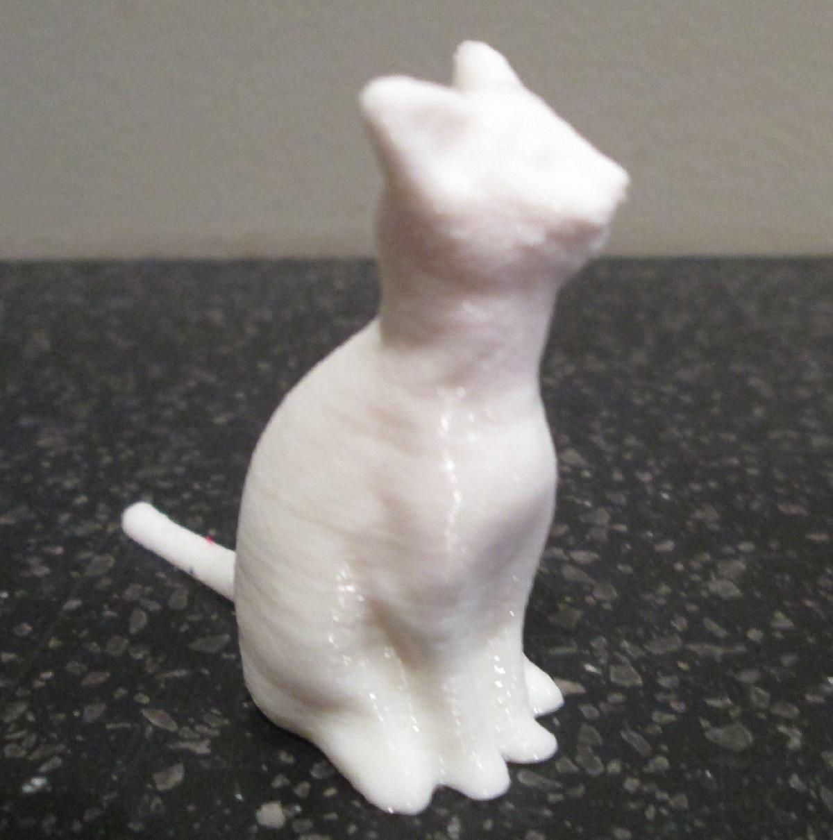 sitting cat