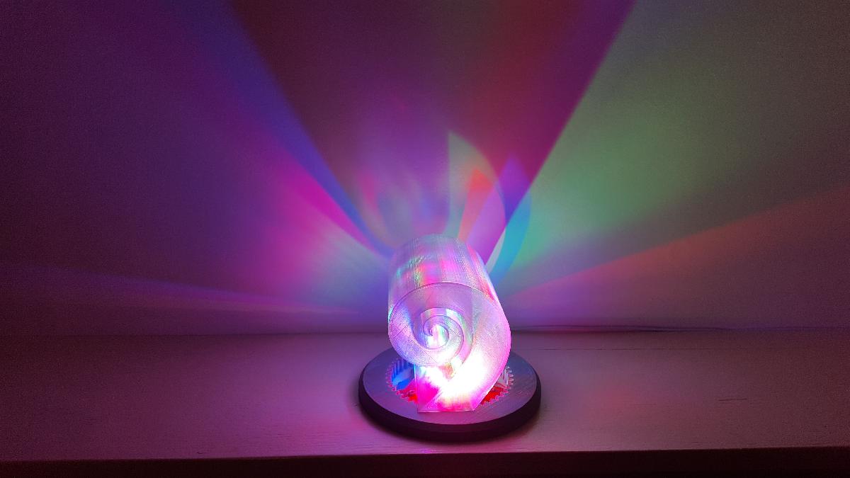 Bolter Focinho Flares