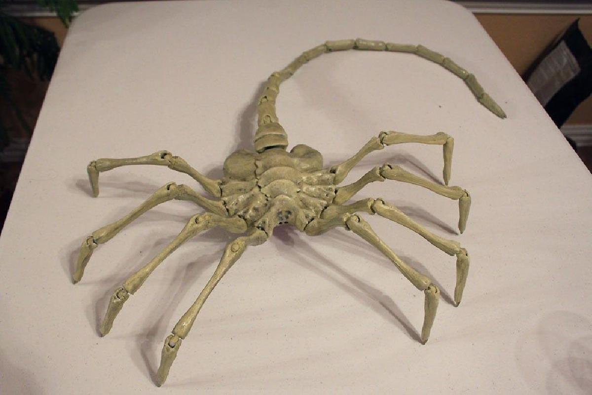 Agisis Ultimate Alien Face Hugger (40in x 23in   TAMANHO NATURAL!)
