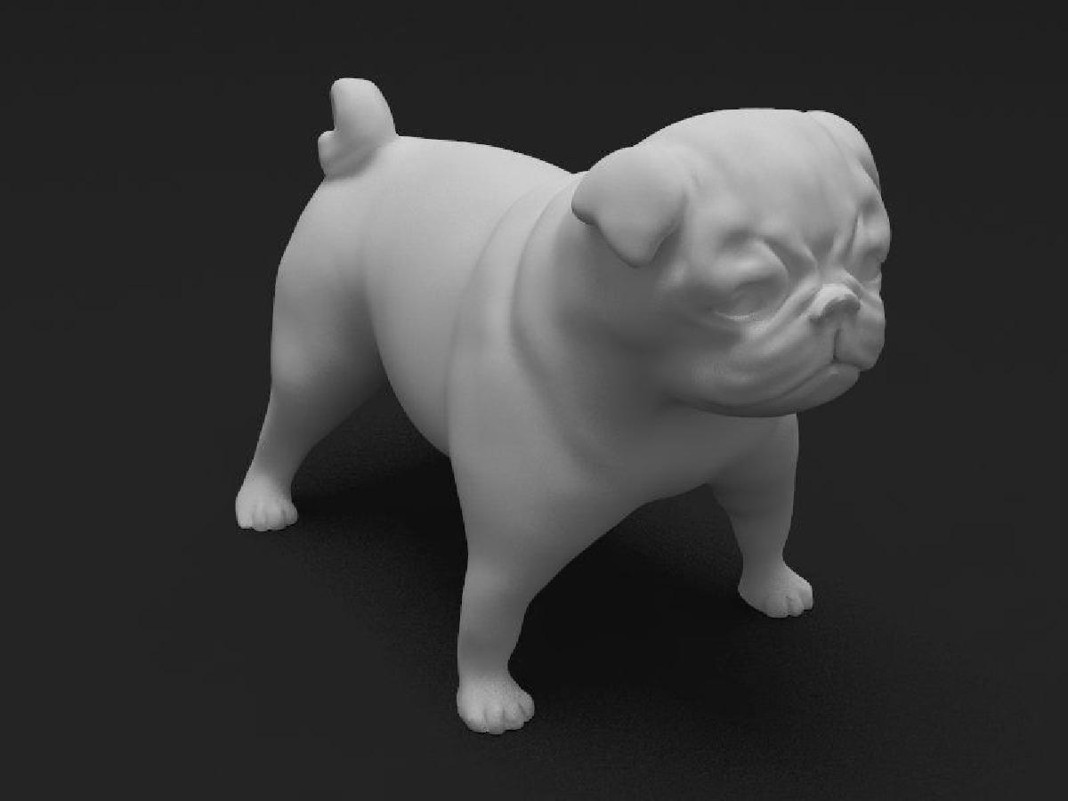 Pug