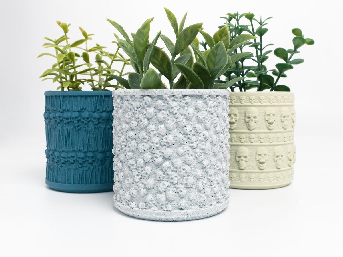 Plantadores de cranio