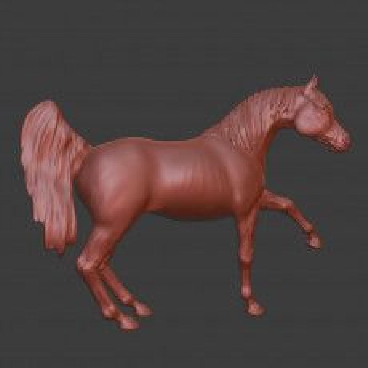 Cavalo de guerra arabe puro sangue