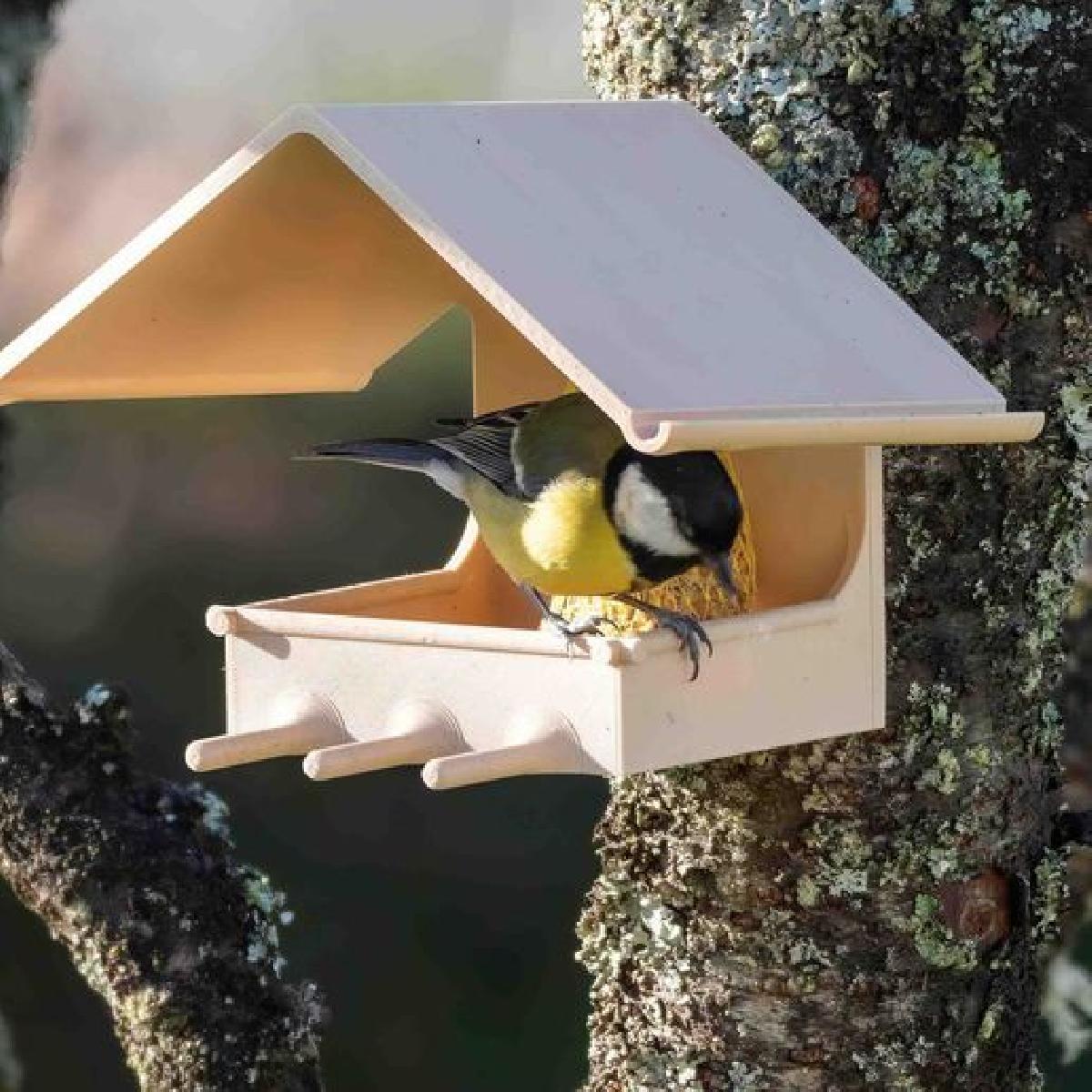 Alimentador de passaros, suporte de bola gorda