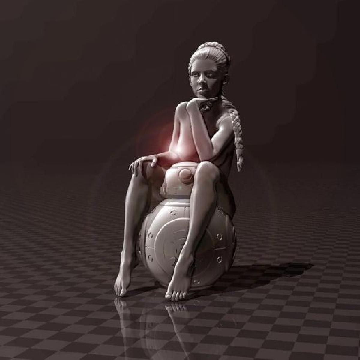 BB 8 & Principes Leia ⭐⭐⭐