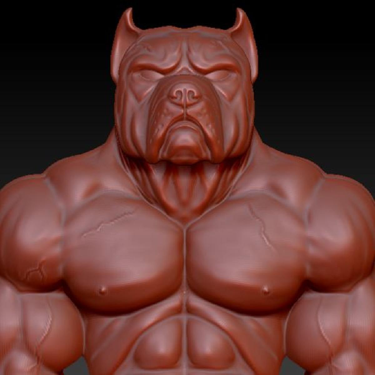 perrogogpitlbullhumano