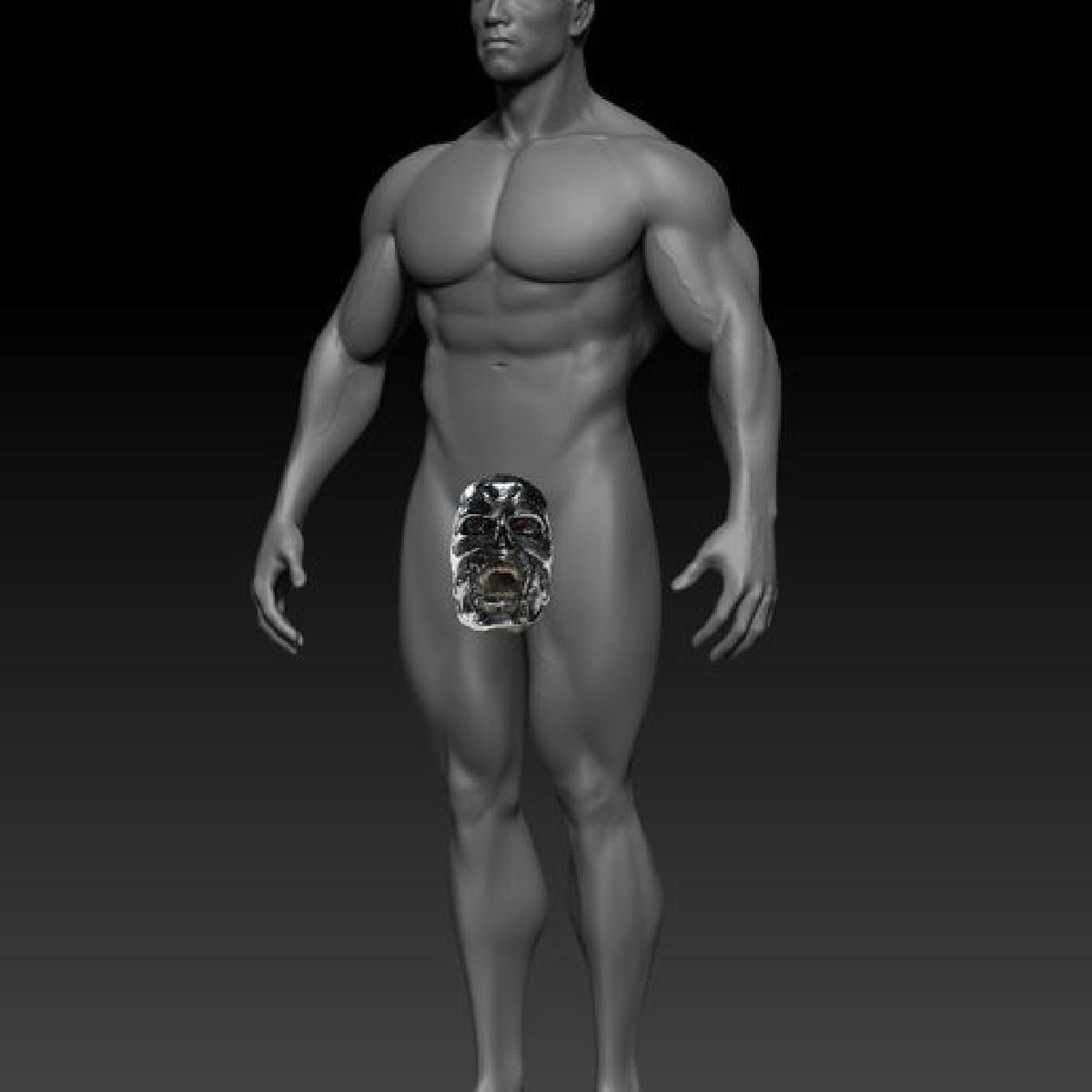 T 800 Corpo inteiro