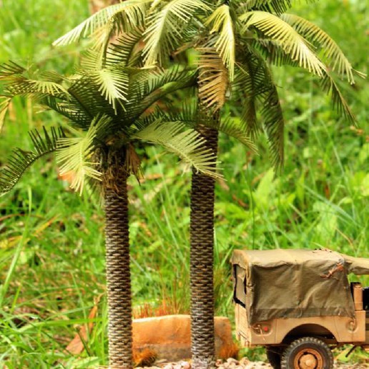 1/35 Palmeira #1