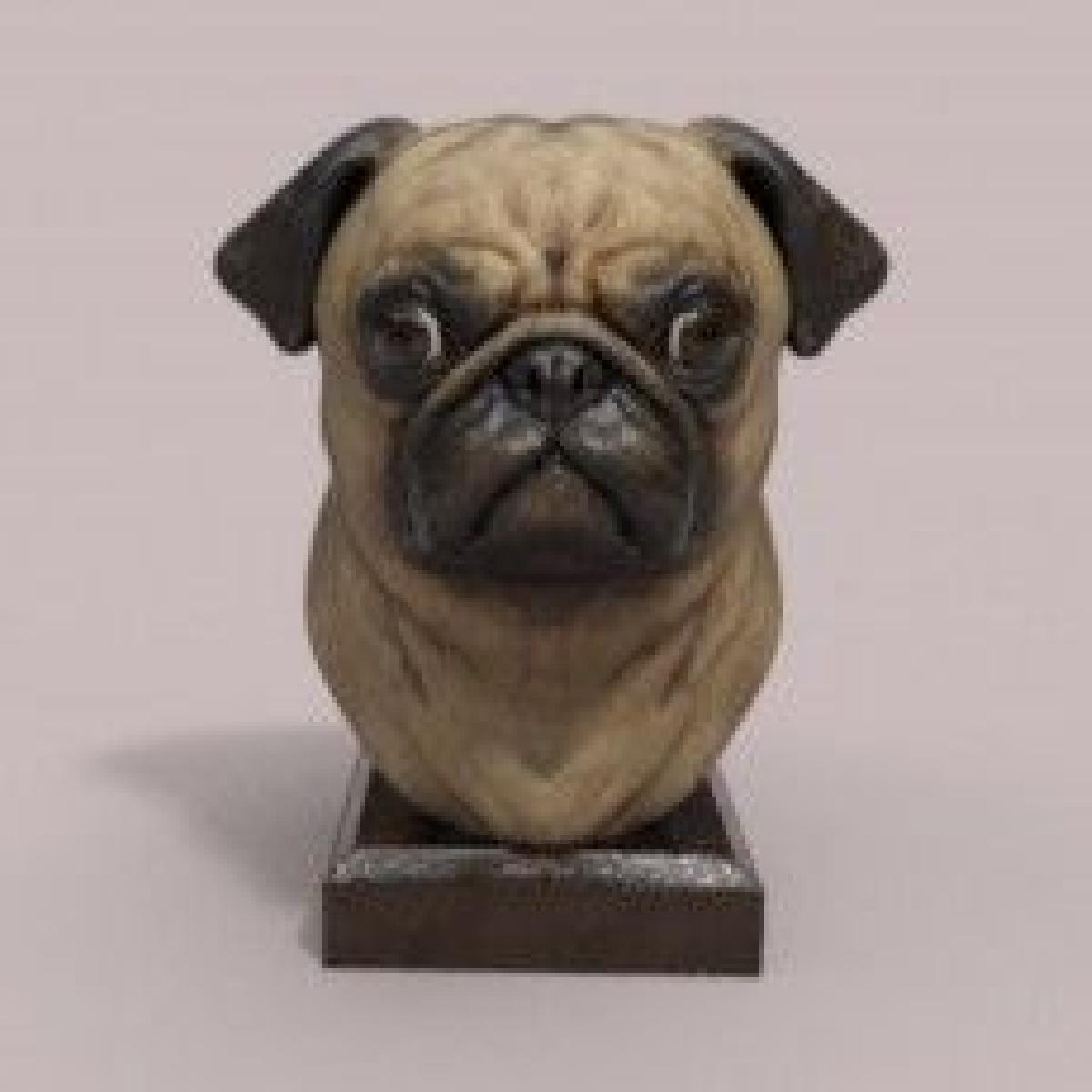 Estatua de Pug