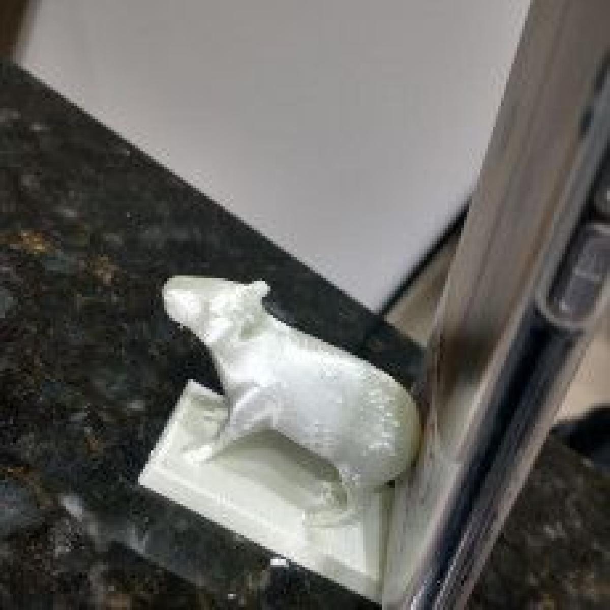 Capivara com laranjas giratorias