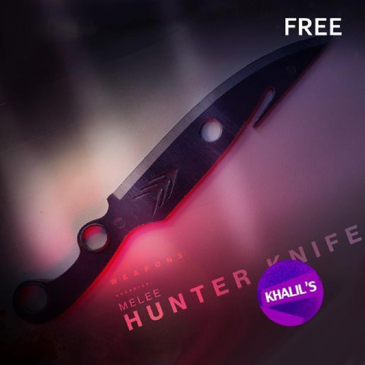 Destiny 2 FACA HNTER