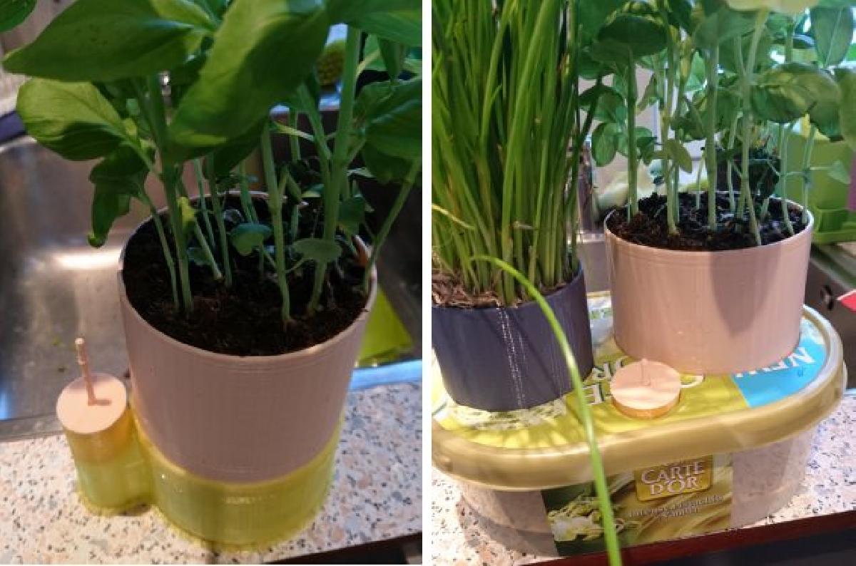 SWHP: Plantador de ervas autoirrigavel