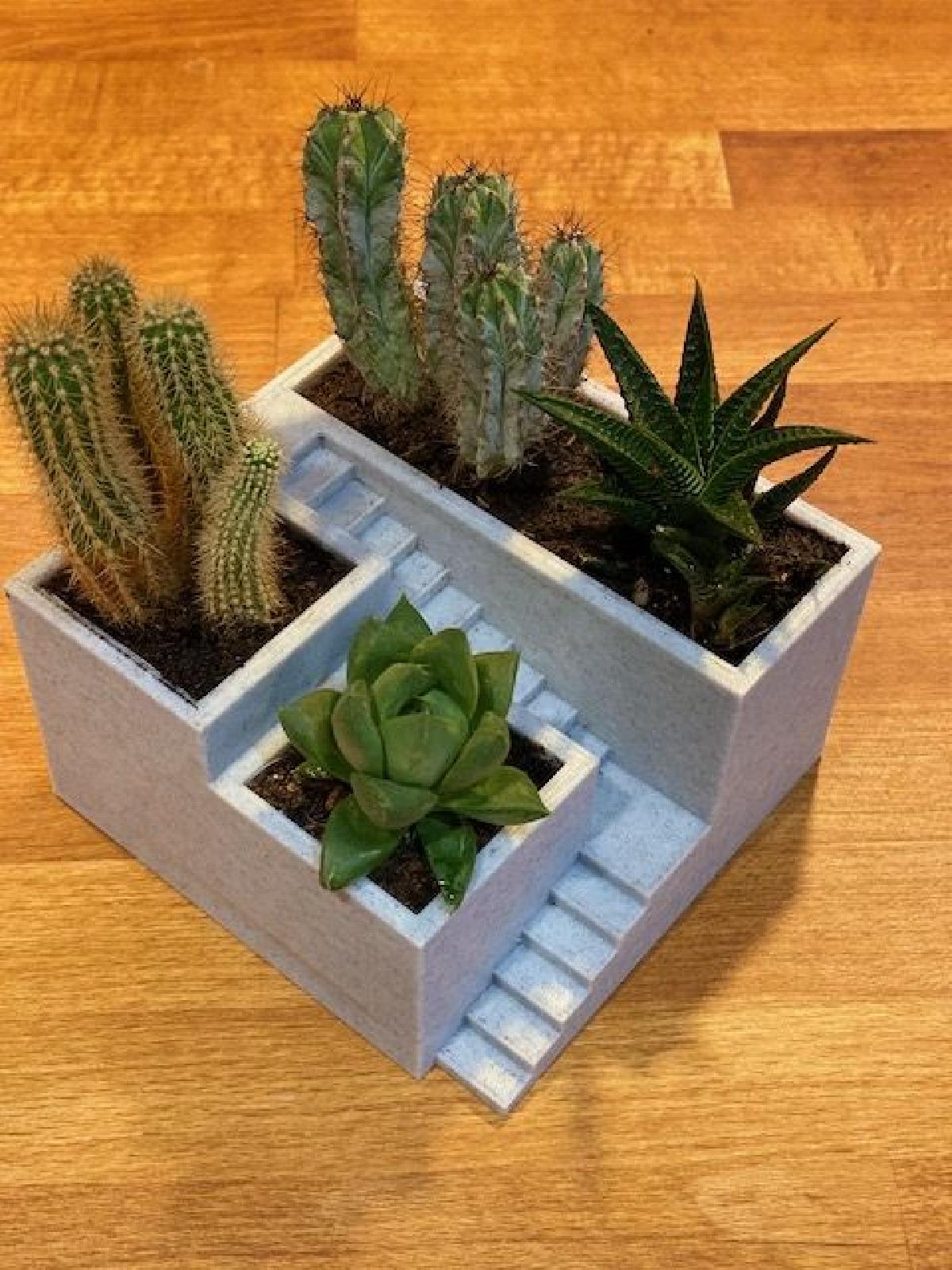 Plantador 2