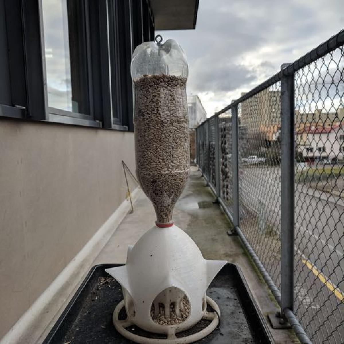 Comedouro para Garrafa PET, Casa de Passaros 2.0