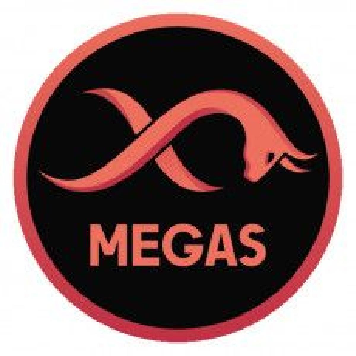 EMPRESA MEGAS