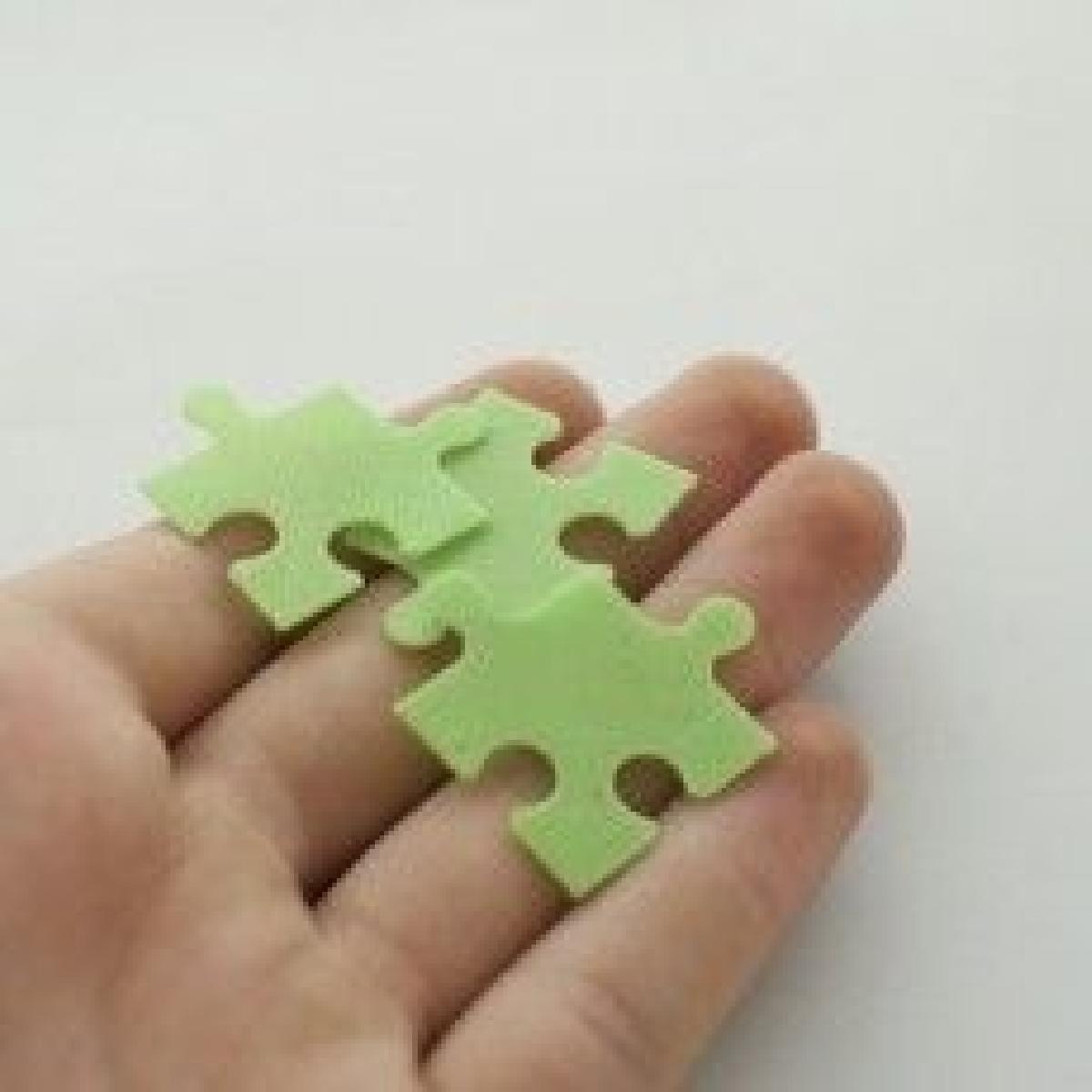 jigsaw puzzle