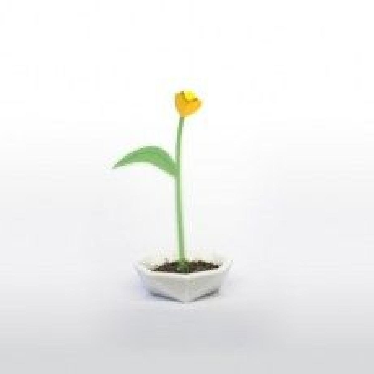 Polypod   vagem de flor poligonal