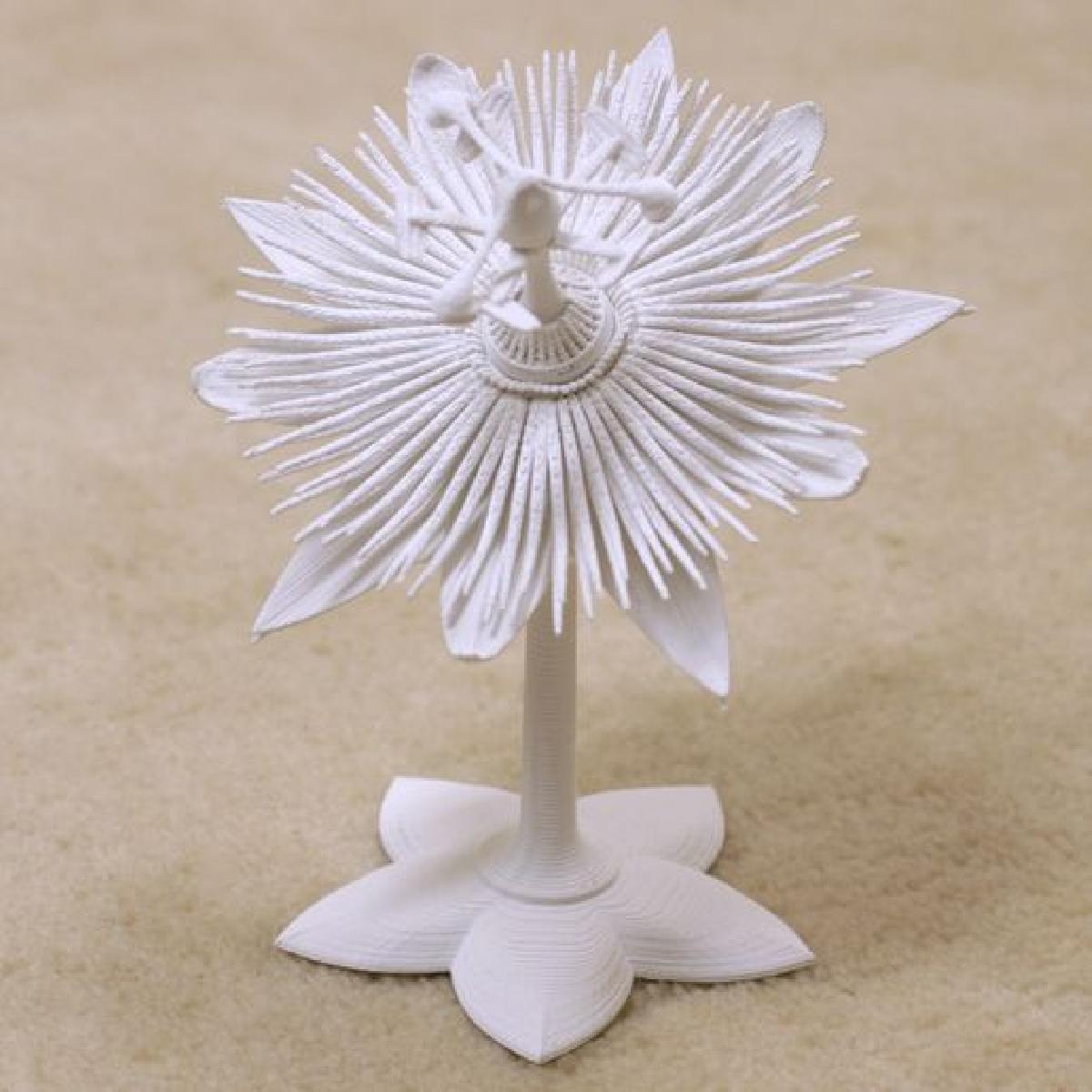 Flor da paixao