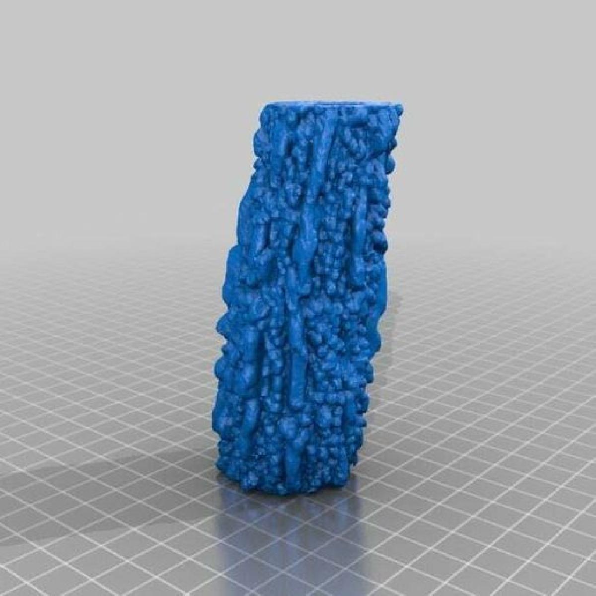 Ressonancia magnetica de cabaca amarga (melao)