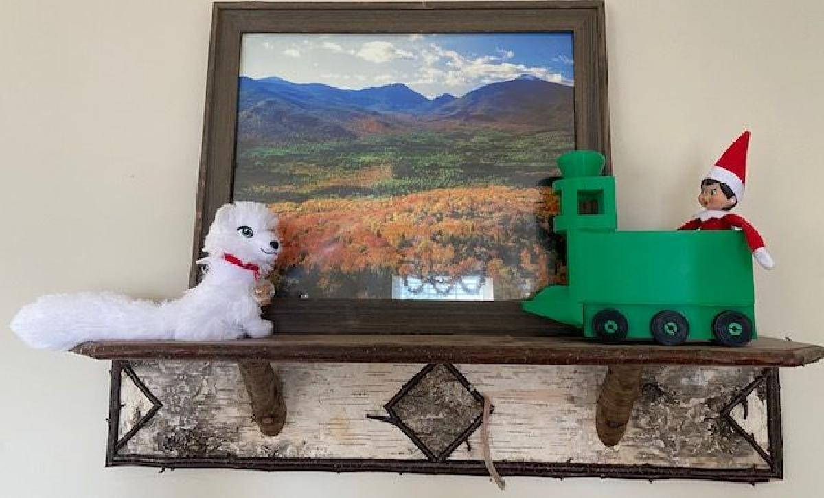 ELF no trem de prateleira 