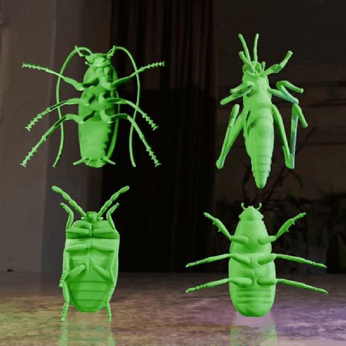 INSETOS X4   BARATA BESOURO GAFANHOTO GAFANHOTO ARLEQUIM