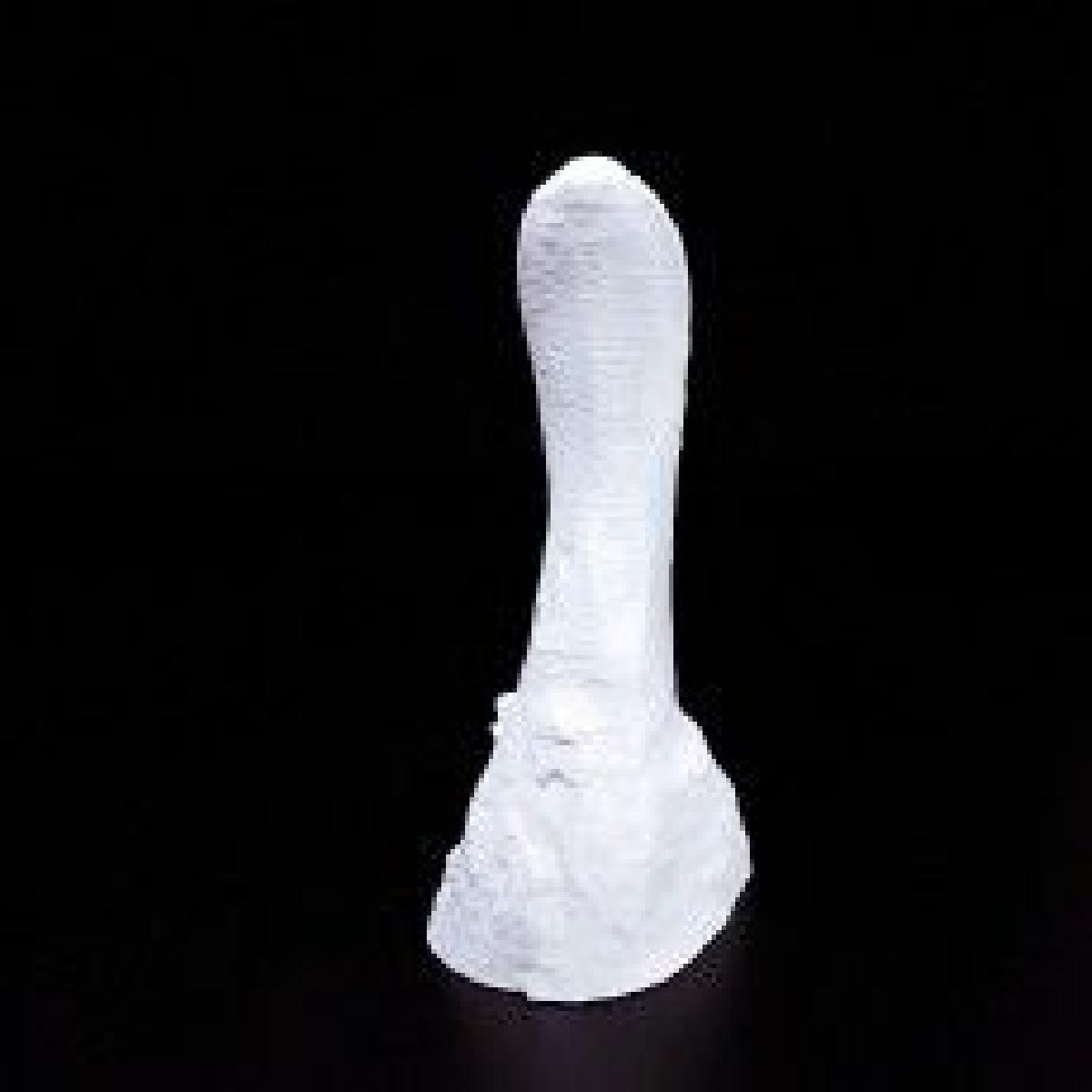 Bico de pato sardado