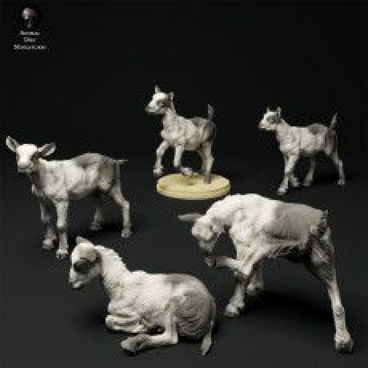 Criancas Cabra Alpina