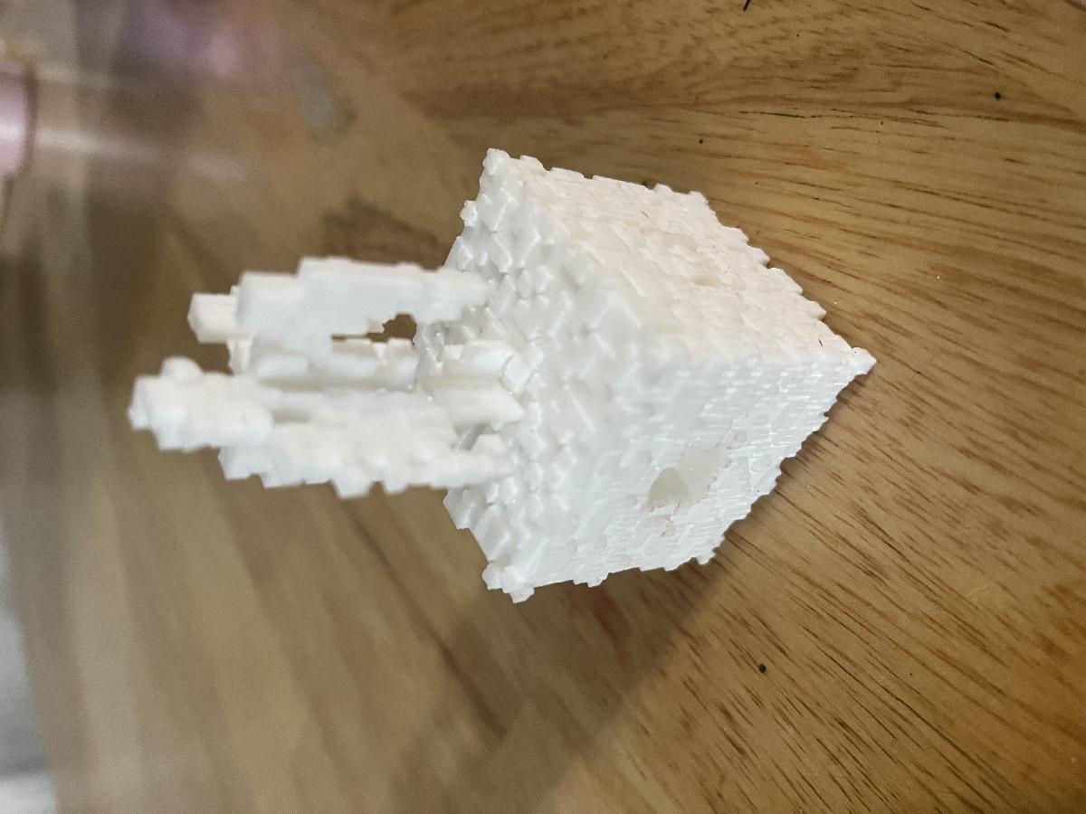 muda de carvalho palido