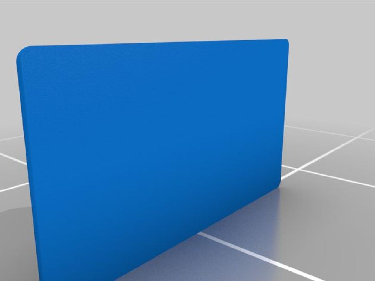 Pe de Borracha HP 12C