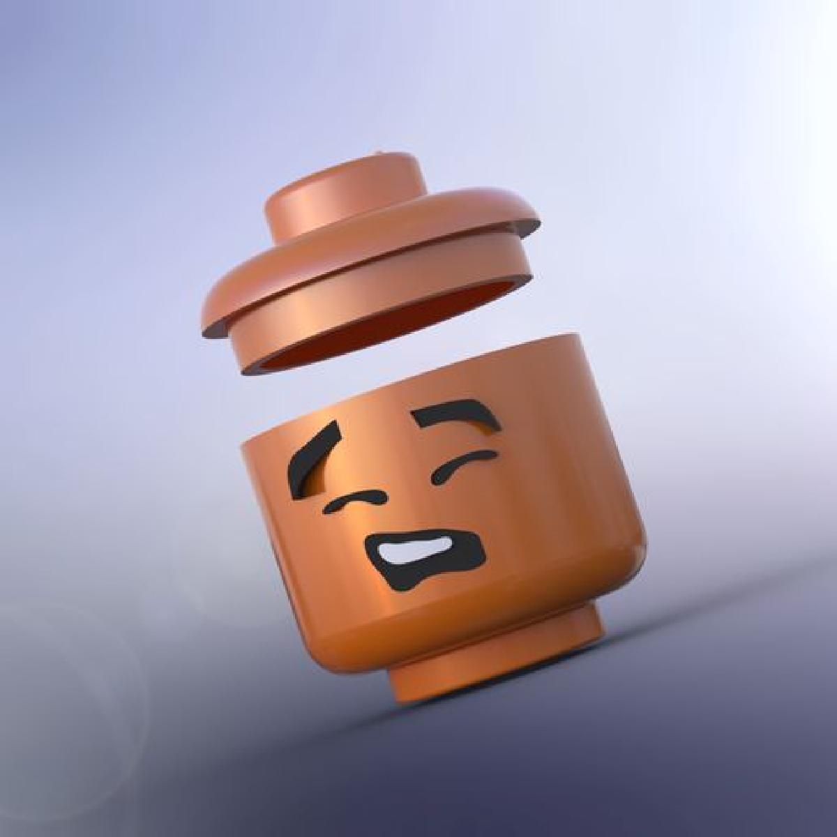 Container de Armazenamento de Cabeca Modelo Imprimivel em 3D